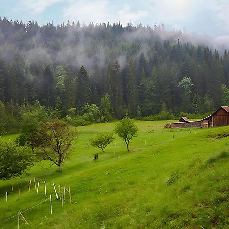 Haus am Kaltenbach Enzklösterle Exterior foto