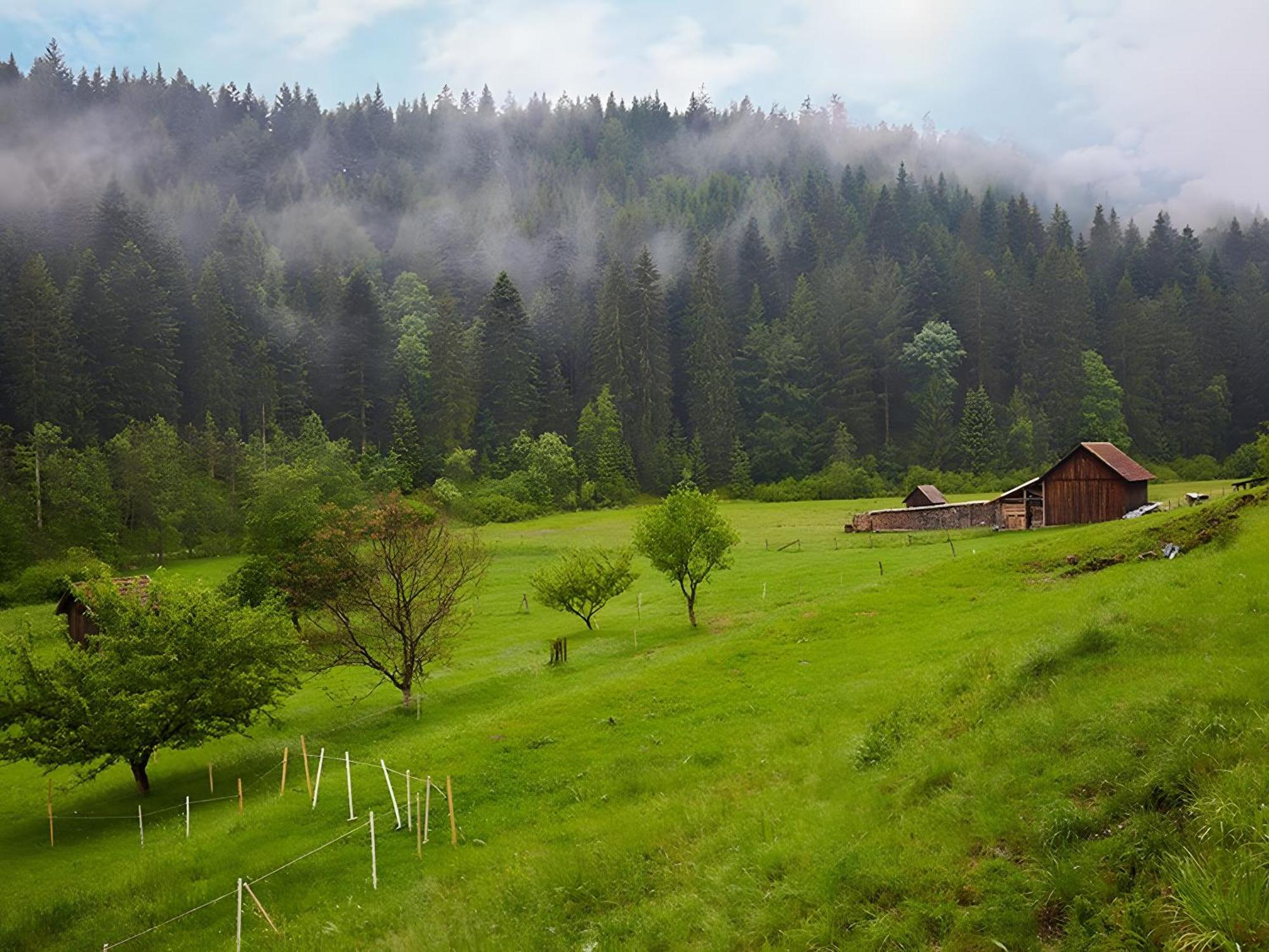 Haus am Kaltenbach Enzklösterle Exterior foto