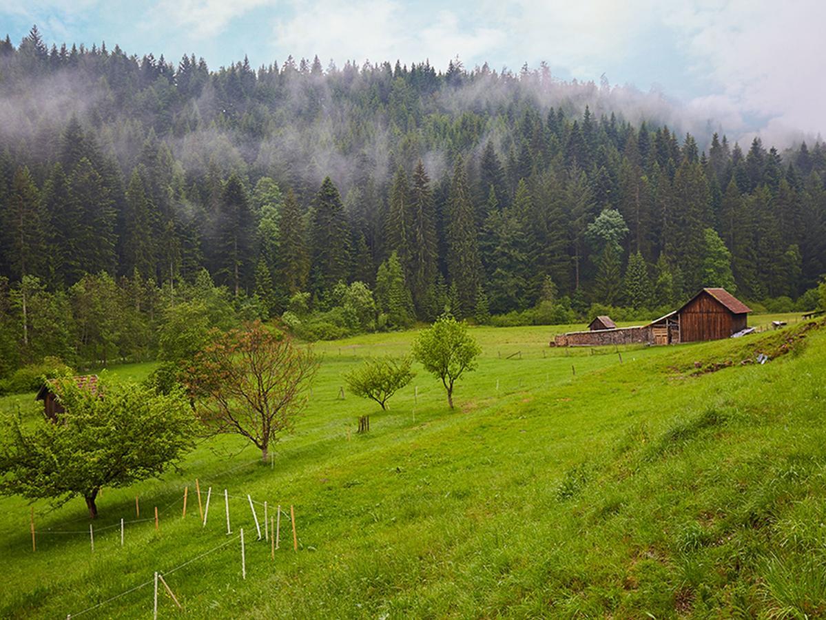 Haus am Kaltenbach Enzklösterle Exterior foto